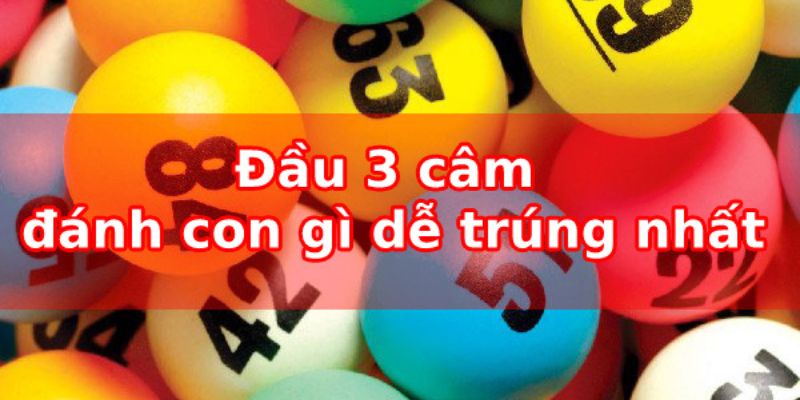 Tìm hiểu về đầu 3 câm