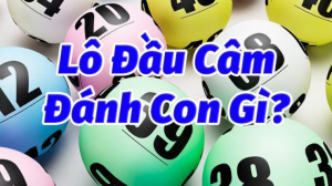 Nếu đề về đầu 0 câm thì mai đánh con gì?