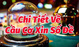 Ai nên xin số cầu cơ?