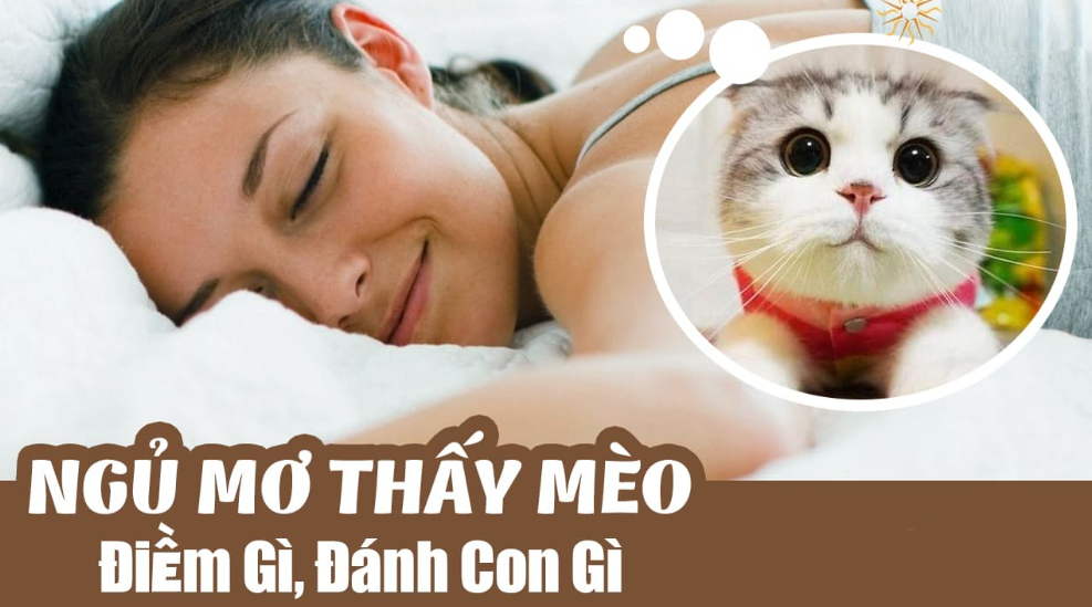 Giải mã ý nghĩa điềm báo giấc mơ thấy mèo - mơ thấy mèo điềm gì