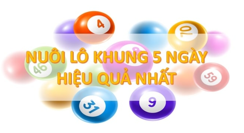 Lý do nên nuôi lô bạch thủ 5 ngày